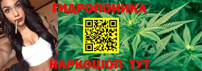 гидропоника Усть-Илимск